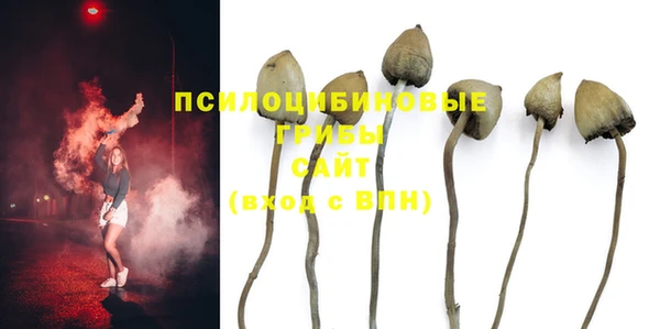 а пвп мука Белокуриха