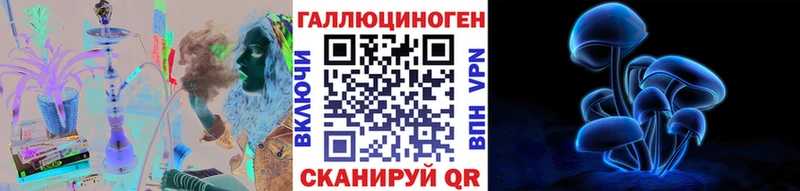 Псилоцибиновые грибы GOLDEN TEACHER  мега вход  Горячий Ключ  купить наркотик 